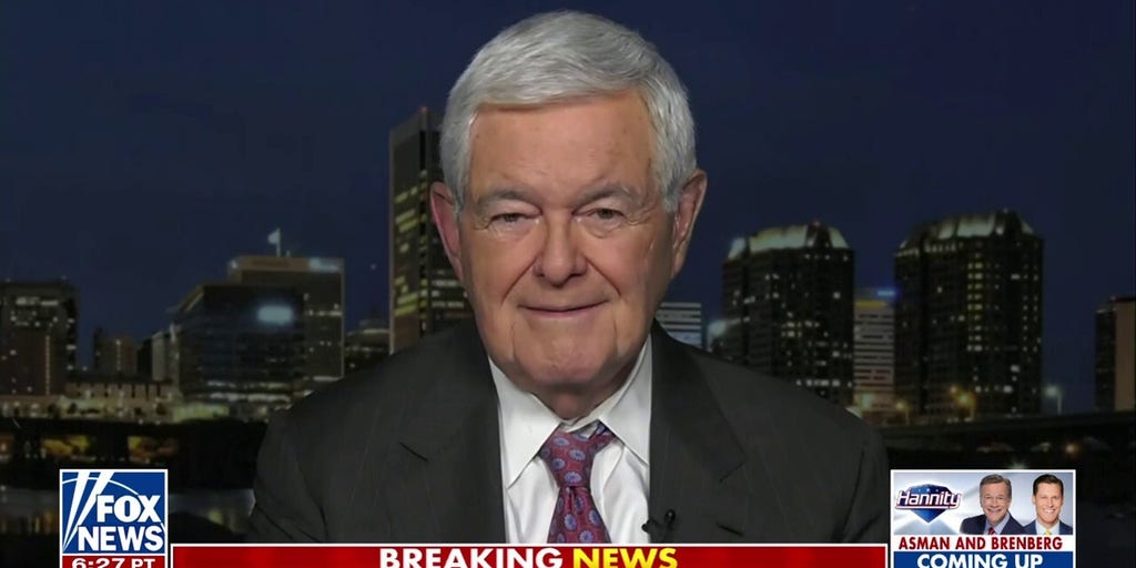 Newt Gingrich: Biden campaign's push to attract young voters with beer and birth control is 'childish'