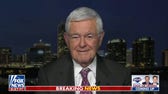 Newt Gingrich: Biden campaign's push to attract young voters with beer and birth control is 'childish'