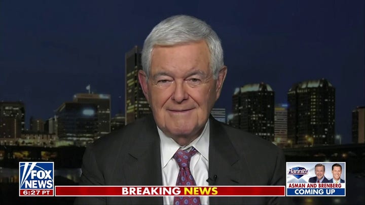 Newt Gingrich: Biden campaign's push to attract young voters with beer and birth control is 'childish' 