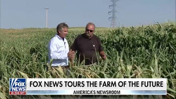 The Farm of the Future: Big Tech helps agriculture industry advance