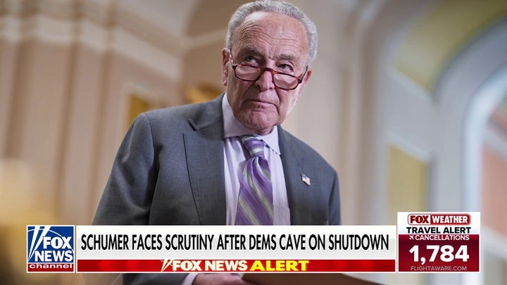 Schumer faces party scrutiny after Dems cave on shutdown