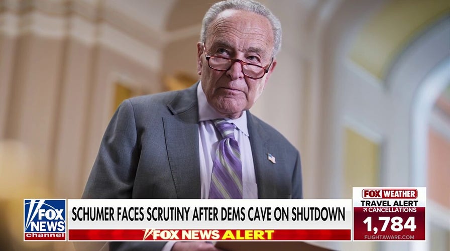 Schumer faces party scrutiny after Dems cave on shutdown