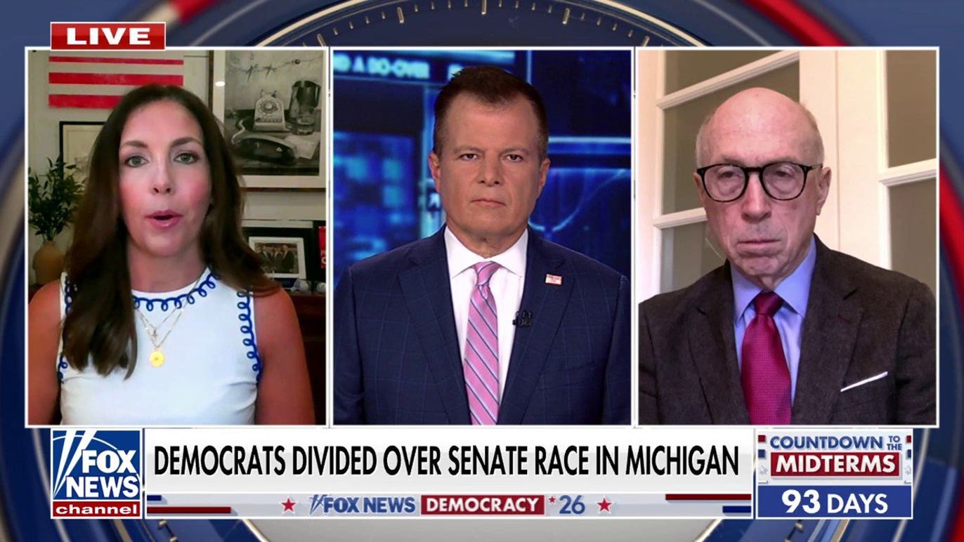 Democrats divided over Senate race in Michigan