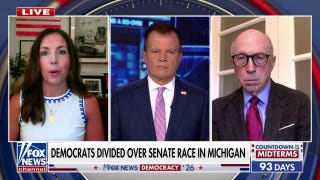 Democrats divided over Senate race in Michigan
