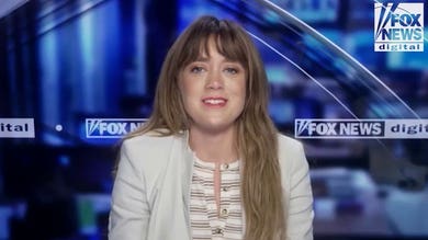 Former Democratic operative lifts the lid on the party's 'new donor establishment'
