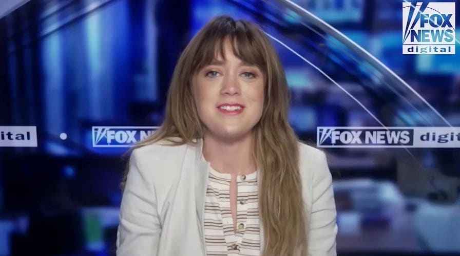 Former Democratic operative lifts the lid on the party's 'new donor establishment'