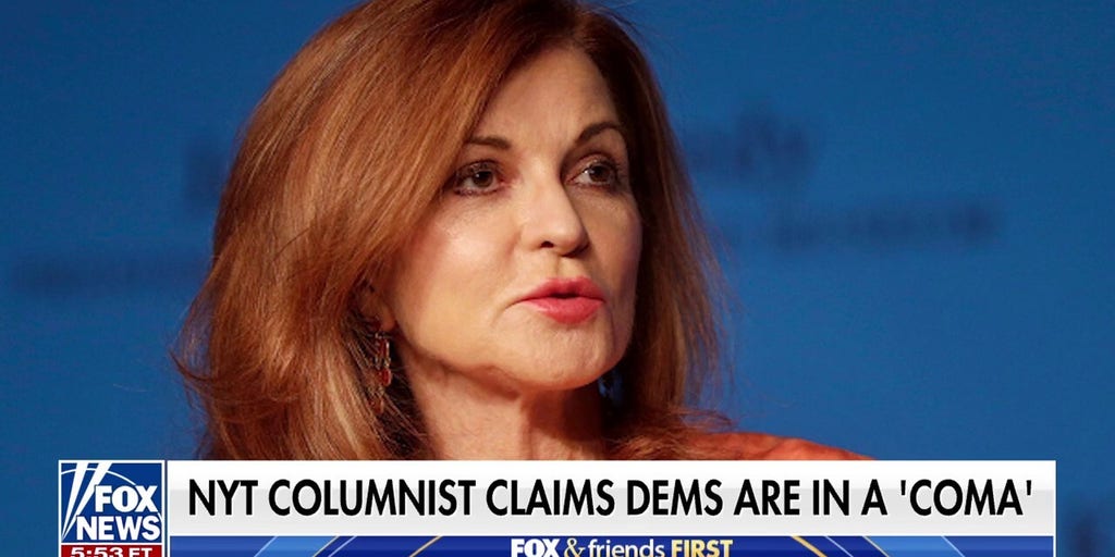 Democrats hit with criticism from NYT columnist: 'They stopped being any fun'