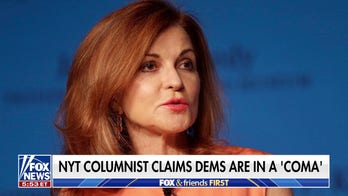 Democrats hit with criticism from NYT columnist: 'They stopped being any fun'