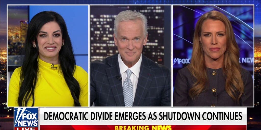 Aviation concerns mount as shutdown stays in place | Fox News Video