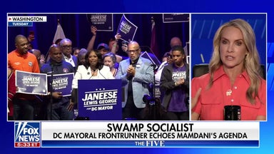 Dana Perino: The DNC is in a ‘mess’