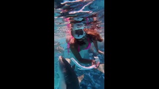 Group of sharks surround woman as she snorkels in Maldives