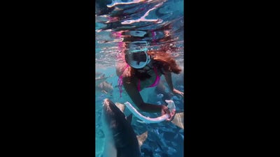 Group of sharks surround woman as she snorkels in Maldives