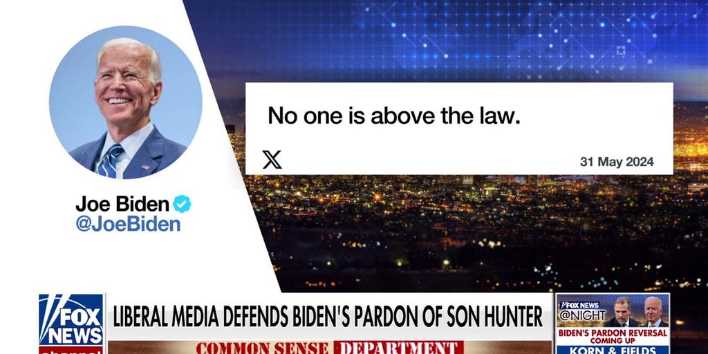'Common Sense': Hunter Biden is above the law