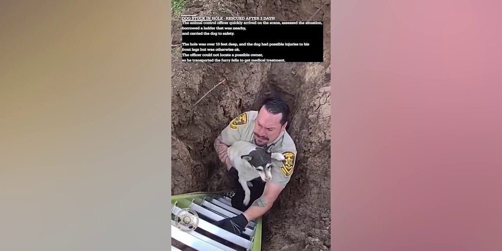 Arizona animal control officer rescues dog from over 10-foot sinkhole
