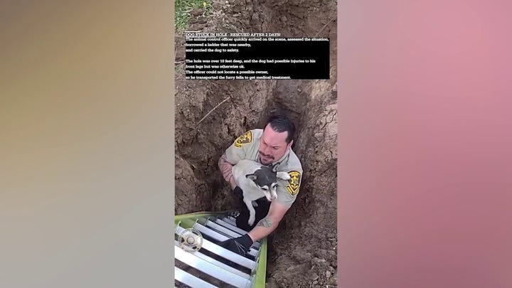 Arizona animal control officer rescues dog from over 10-foot sinkhole