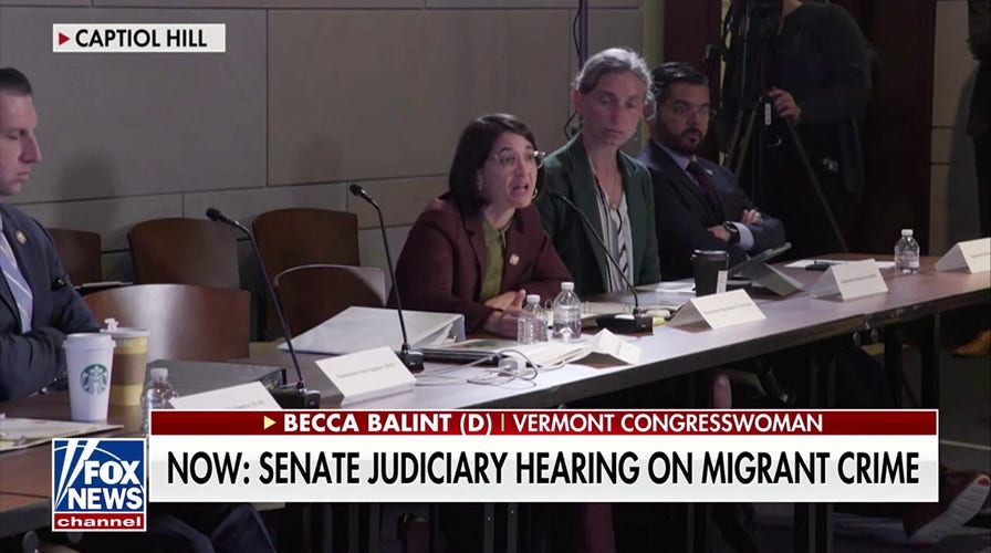 Democratic congresswoman blasts ICE as a 'paramilitary force'