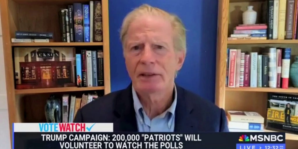 Strategist claims on MSNBC that Trump supporters will 'violently disrupt' election counts