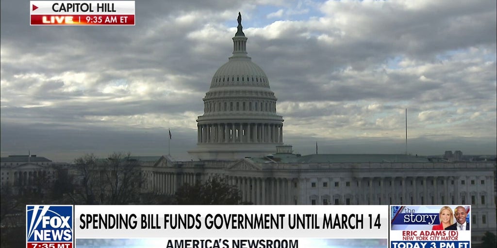 Conservative lawmakers 'fuming' as Speaker Johnson pushes 'Christmas tree' spending bill