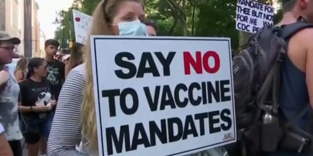 Medical Professionals Take To Court New York Vaccine Mandate | Fox News ...