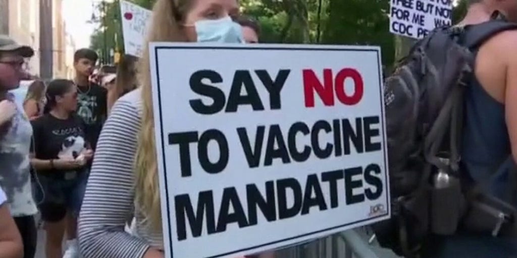 Medical professionals take to court New York vaccine mandate Fox News