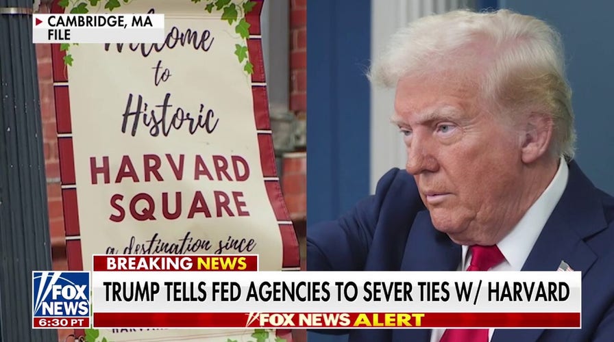 Jonathan Turley: Harvard is at a 'disadvantage' in some legal fights with Trump