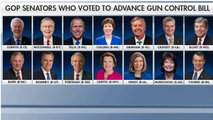 Cruz calls on Senate to support alternative gun bill