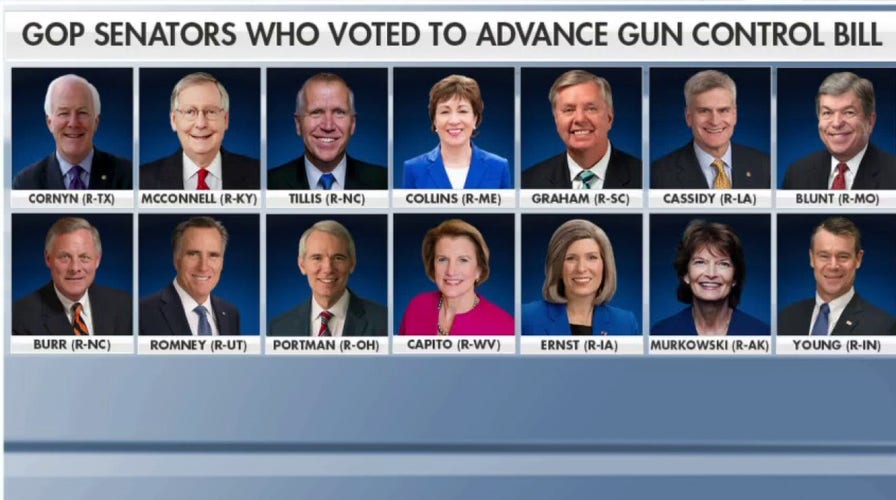 Cruz calls on Senate to support alternative gun bill