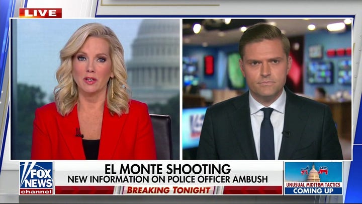 Suspect in California police shooting on probation for gun charge