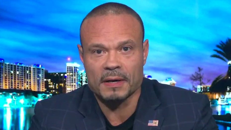 Dan Bongino On House Testimony: Some Dems Just Want To 'stoke The ...