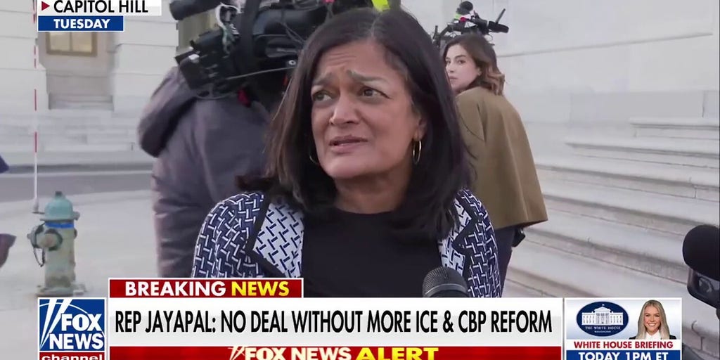 Dem Rep. Jayapal: ‘We don’t want ICE and CBP murdering people on our streets and bashing down doors’