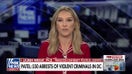 Democrats 'need to get their messages less mixed up,' political scientist says