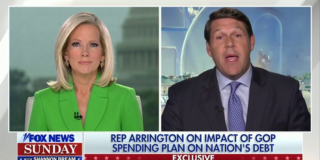 Lawmaker rips Dems for 'fear-mongering' Medicaid cuts in Trump's 'big beautiful' bill