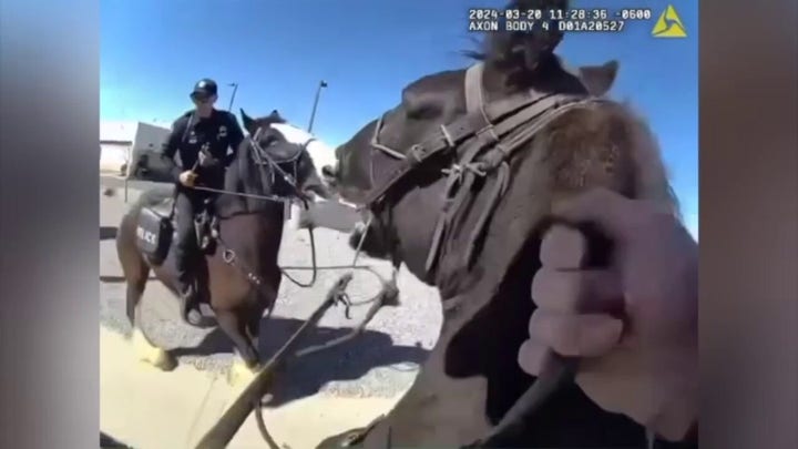 WATCH: New Mexico police chase suspected shoplifter on horseback