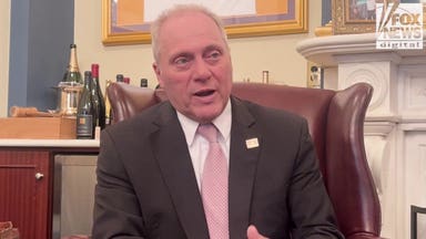 Scalise compares DSA victories to Russia's communist revolution