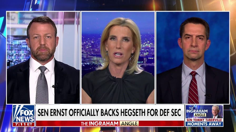 Hegseth will be confirmed 'without question,' GOP senator predicts