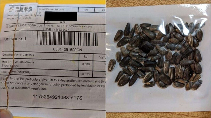 Officials think mysterious packages from China containing seeds are part of an online scam