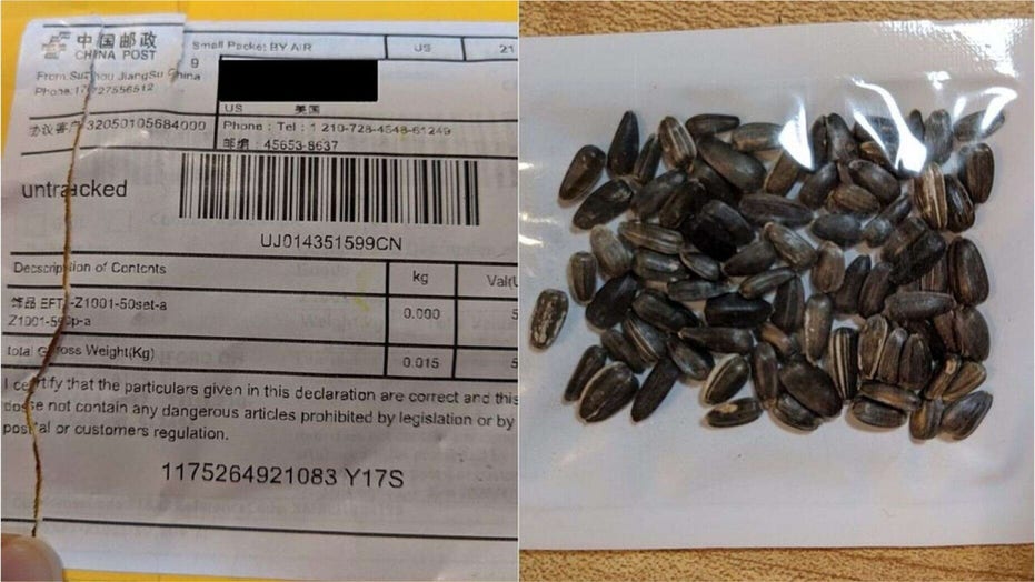 Mystery Seeds Now Arriving In Texas Mailboxes Report Fox News Mystery Seeds Now Arriving In Texas Mailboxes Report Fox News