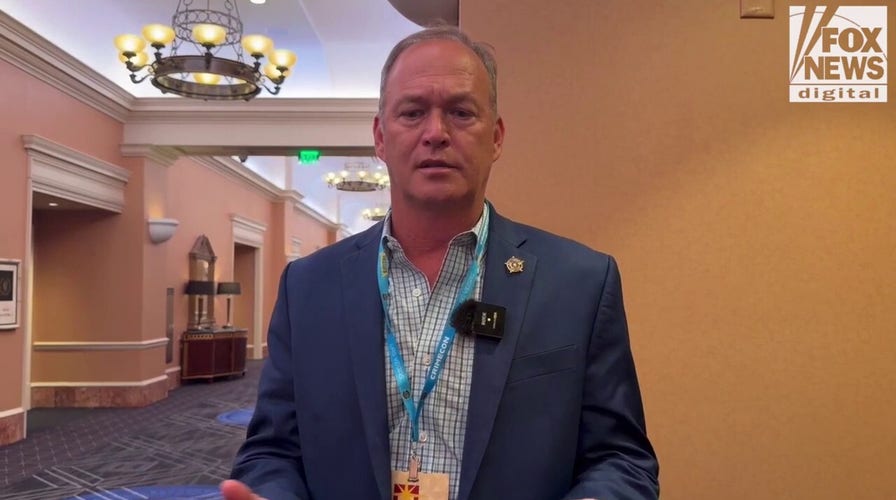 Louisiana AG cracks down on child predators as sheriff warns 'white van' now in your living room