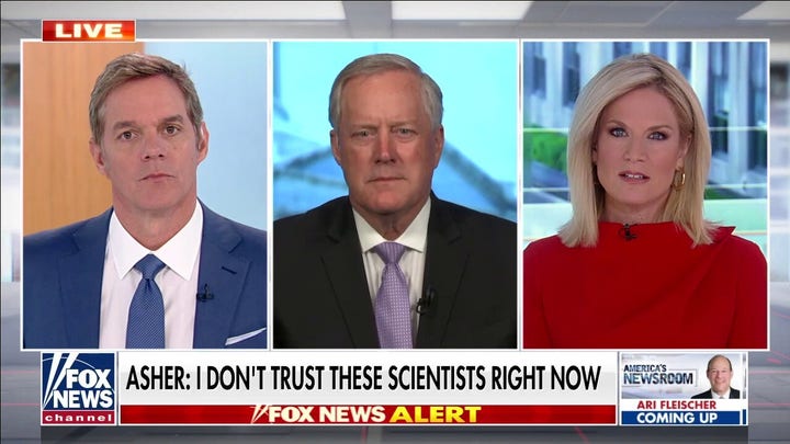 Meadows rips scientists' statements on coronavirus origins: ‘We are in a Biden cover-up mode’