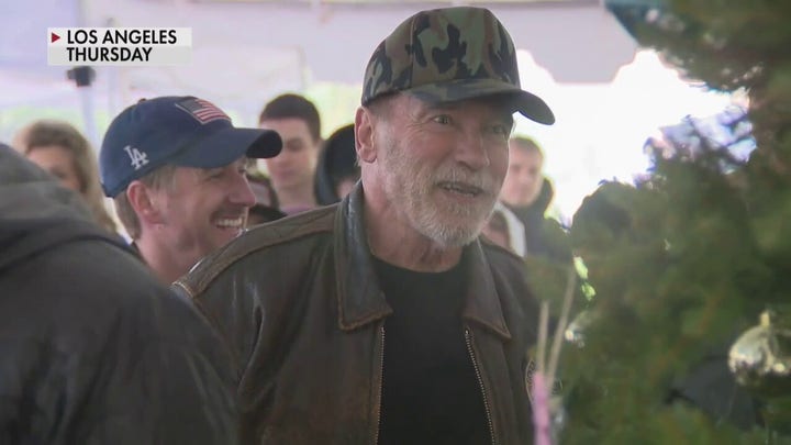 Arnold Schwarzenegger donates 25 tiny homes to homeless veterans in LA