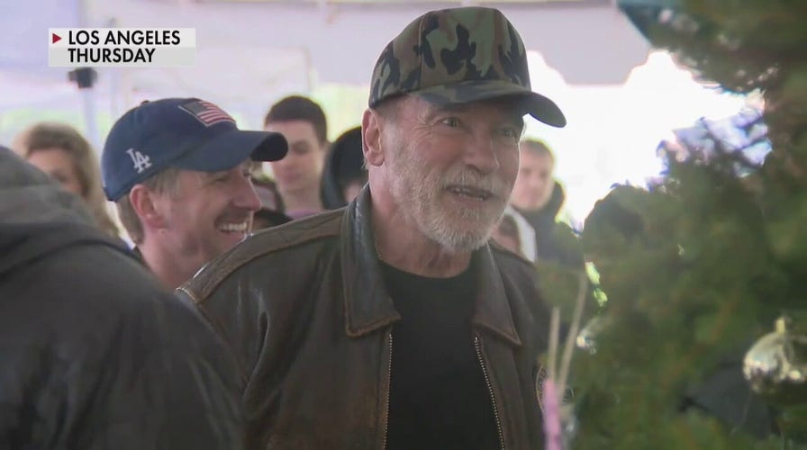 Arnold Schwarzenegger donates 25 tiny homes to homeless veterans in LA