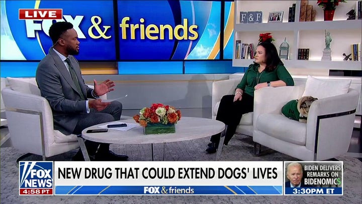 Longevity drugs for dogs moving closer to reality