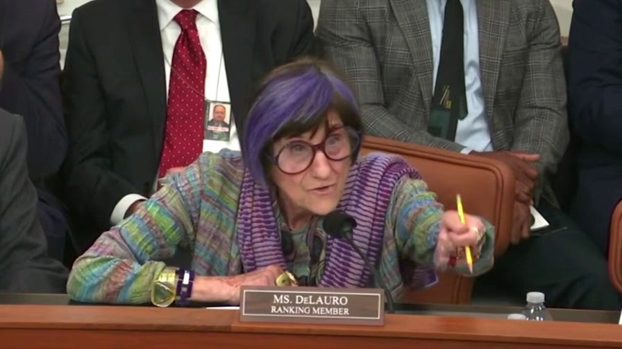 Democrat Rosa DeLauro demands DHS secretary be 'put in his place'