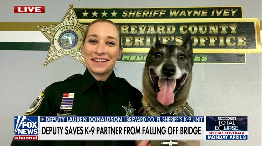 Luckily I was able to ‘pull’ my dog in: Lauren Donaldson