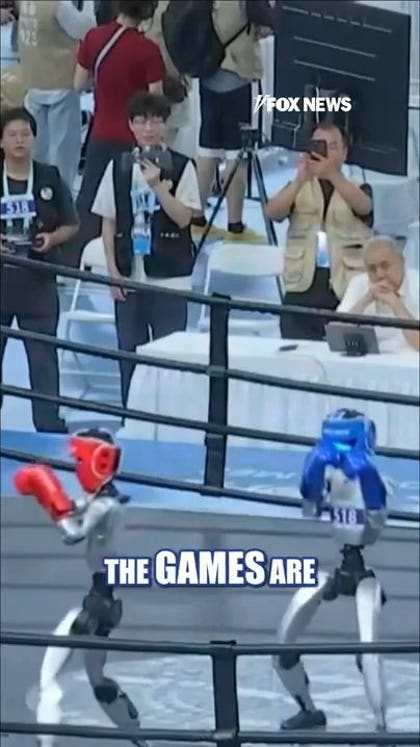 Robots fight, climb and crawl at Beijing games