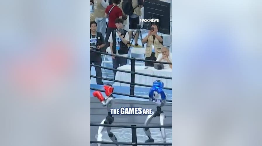 Robots fight, climb and crawl at Beijing games