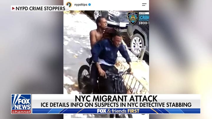 ICE official details criminal history of suspects in NYPD detective attack