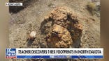 Teacher discovers first confirmed adult T. rex trackway