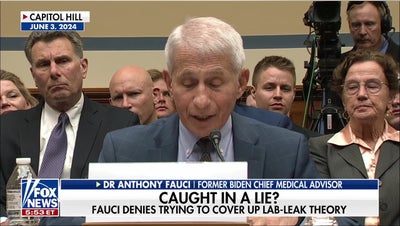 Former DNI Gabbard: Released documents expose alleged COVID cover-up - Fox News