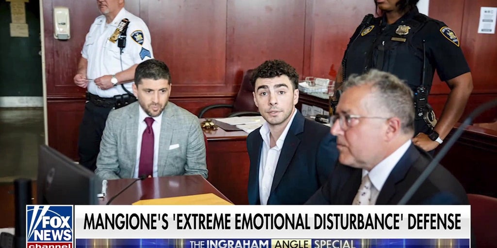 Luigi Mangione’s lawyers seek to argue ‘extreme emotional disturbance’ in alleged murder case
